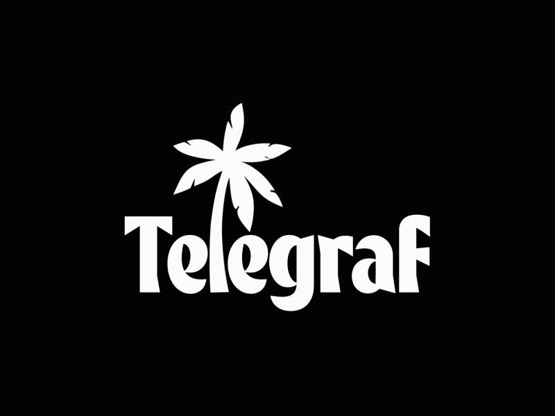 telegraf.studio logo loop animation