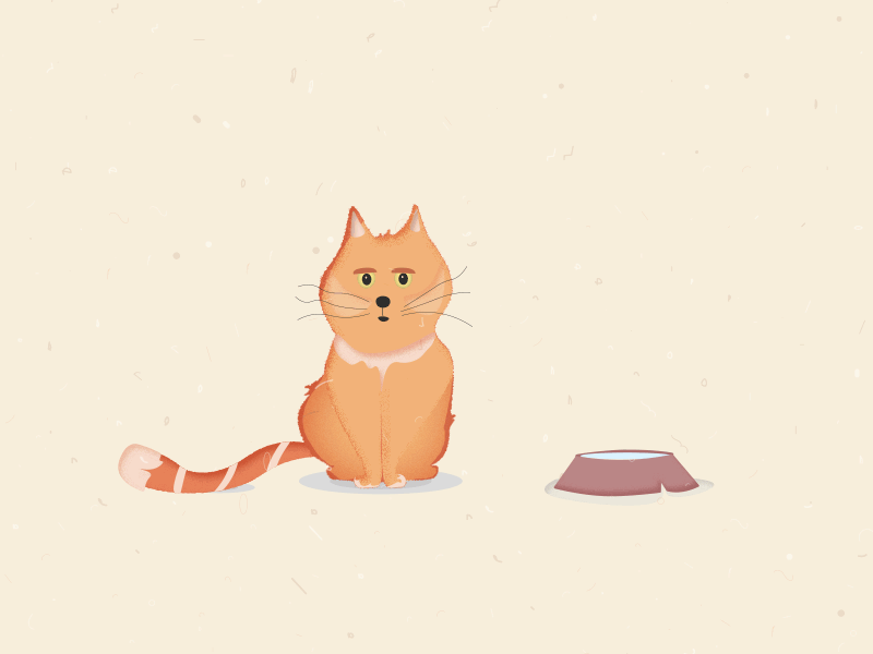 The Cat cat graphics illustration motion graphics
