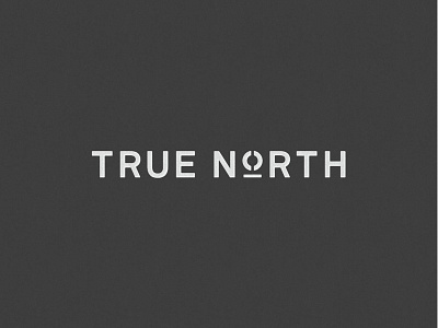 True North logo concept clean custom typography icon logo minimal