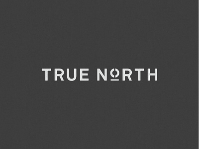 True North logo concept