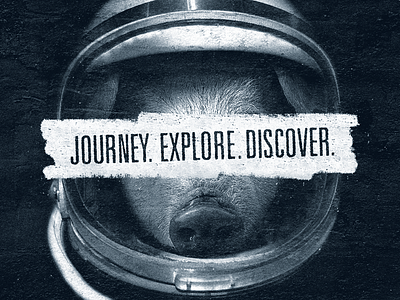 Journey. Explore. Discover. astroham astrohambrand cincinnati discover explore journey photocollage pig texture