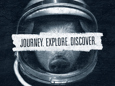 Journey. Explore. Discover.