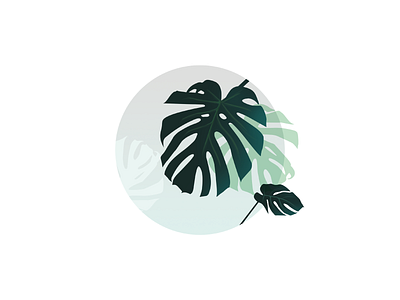 Monstera design gradient graphicdesign illustration logo monstera photoshop art plants sketching