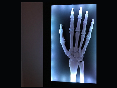 Papercut No.6 ✖️ Skeleton Hand XRay