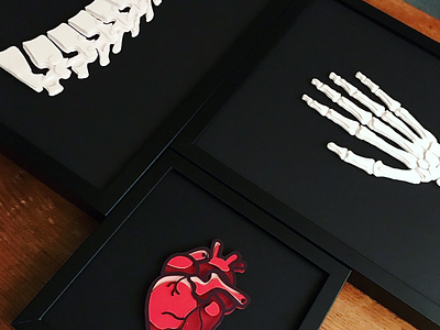 Anatomical Series anatomy black craft design graphicdesign illustration illustrator paperart papercut papeterie vectortopaper visualdesign