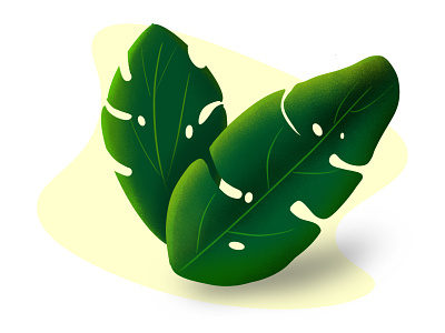 Simple illustration design illustration leaf procreate shot simple