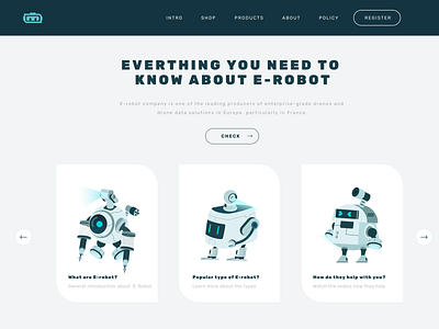 E-robot web design
