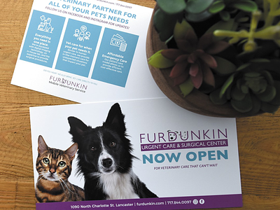 Veterinary Urgent Care & Surgical Center Postcard design graphic design graphic designer postcard print ad