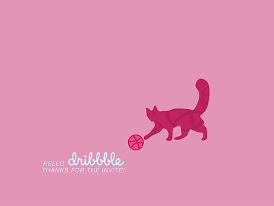 Hello Dribbble! cat chung debut jinny shot