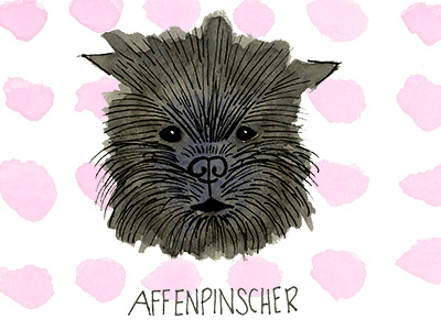 A is for Affenspinscher abc akc dog illustration puppy watercolor