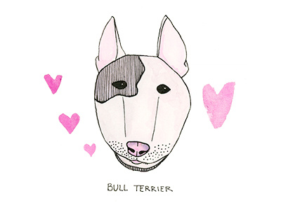 B is for Bull Terrior abc akc dog illustration puppy watercolor