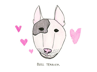 B is for Bull Terrior