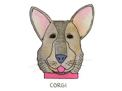 C is for Corgi-ish corgi dog illustration watercolor