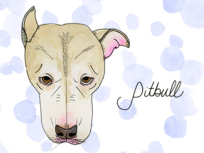 Pitbull love abc dog illustration love pitbull pup watercolor
