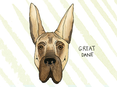 Great Dane abc collection dog great dane illustration pup watercolor