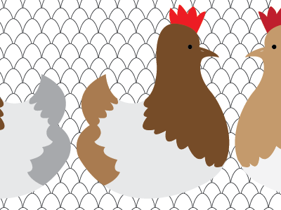 Chicks animals chickens eggs hens illustration vector