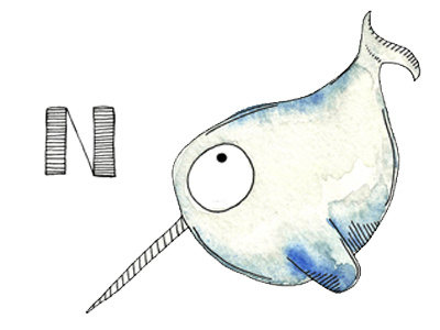 N is for Narwhal alphabet n narwhal unicornofsea