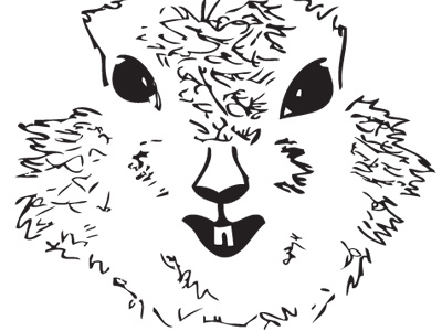 Squirrel animal creativecircus doodle illustration sketch squirrel