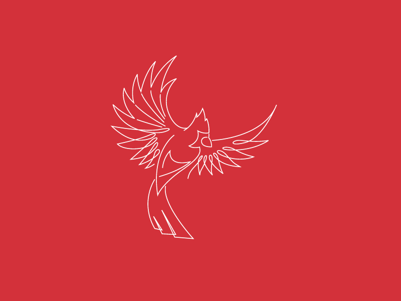 Line Cardinal Logo logo tshirt illustrator apparel cardinal lines illustration