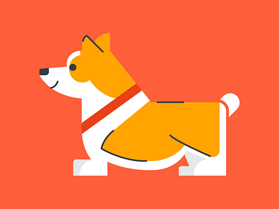 Cute Corgi corgi dogs flat minimal vector vector illustration vectorart