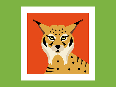 Quercus Quizz iberian lynx icons illustration nature quercus ui