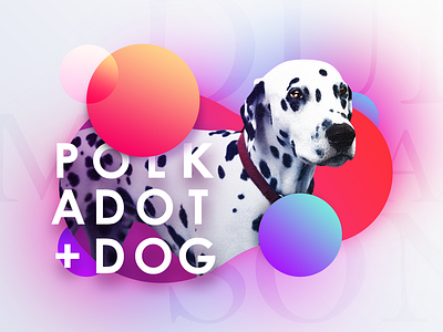 Polkadot Dog art creative design dog gradient neon pet thy typography worldwide