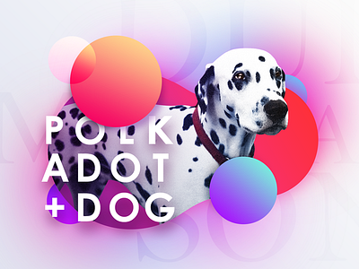 Polkadot Dog