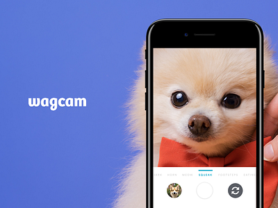 Wagcam - take perfect pics of your dog with sounds app store design dog sounds ui wagcam