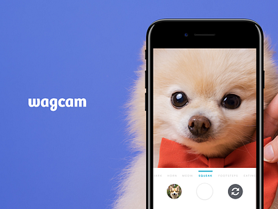 Wagcam - take perfect pics of your dog with sounds