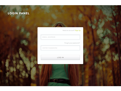 Loginpanel