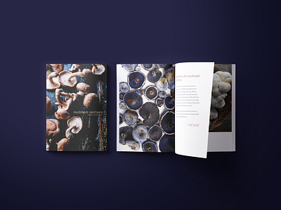 mushroom sanctuary blue book design cookbook design graphic design layout mushrooms