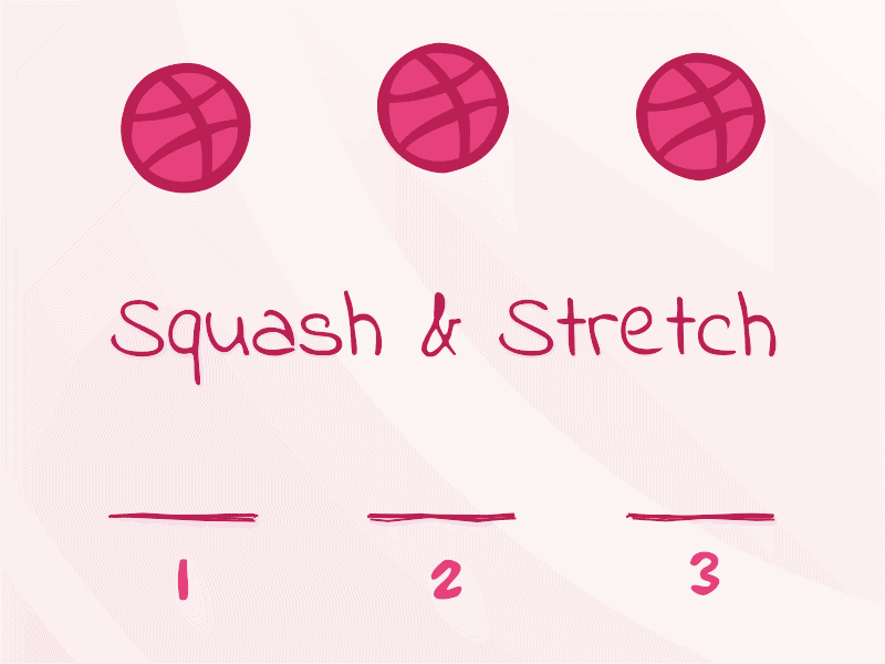 Squash Stretch 1 animate animation ball principles