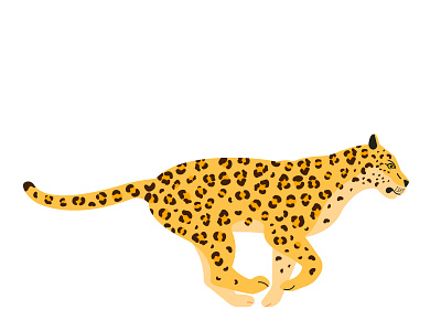 Jaguar illustration african animal cat cheetah flat design illustration jaguar jungle leopard panther tropical wild wildlife