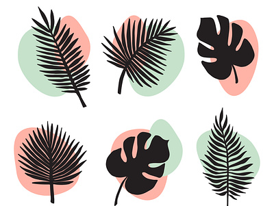 Set of palm leaves beach branch flat design floral illustration leaves monstera nature palm plant summer tree trendy tropical