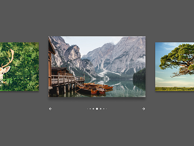 Daily UI 072 - Image Slider carousel dailyui dailyui072 design figma image image slider slider ui