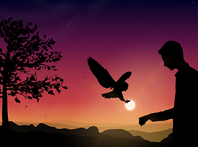 The Power of Solitude background art birdman desert illustraion nature owl sunset