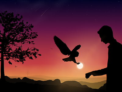 The Power of Solitude background art birdman desert illustraion nature owl sunset