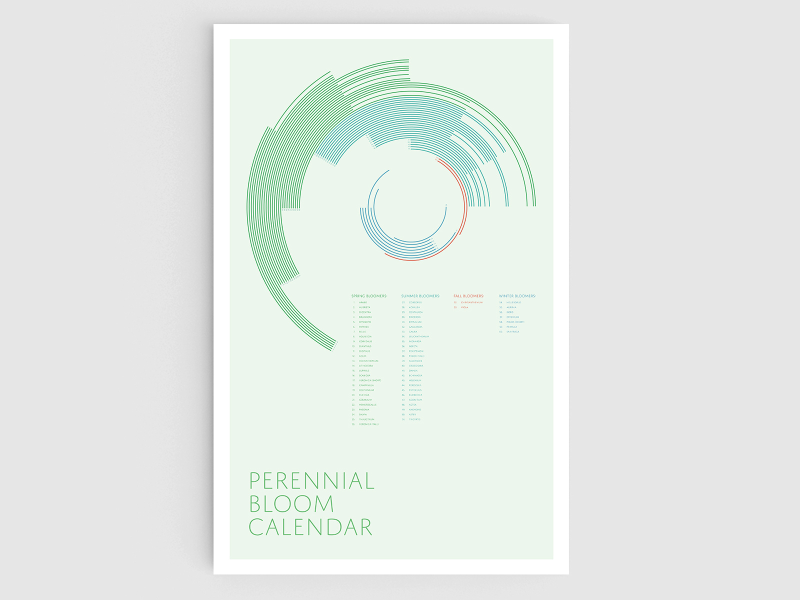 perennial bloom calendar by hannah heneghan dribbble