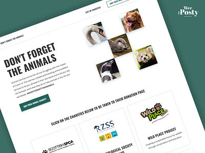 Don't Forget The Animals - Web Design & Development adobe animals branding charity covid19 design donate graphic design interface ui ux web web design webflow website zoo