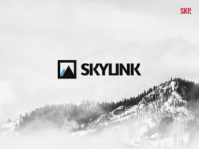 Skylink Logo