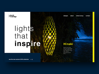 David Trubridge Web UI adobe branding design interface light portfolio typography ui ux web website xd