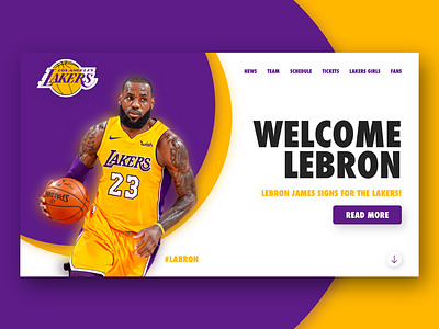 Lebron James La Lakers Basketball Jersey Designs