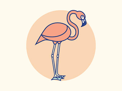 Flamingo 2d bird flamingo illustration line art vector