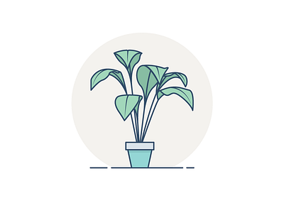 Lone House Plant