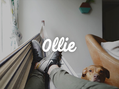 Ollie Logo dog ecommerce logo ollie pets wordmark