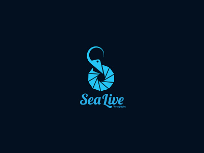 Sea Live Photography