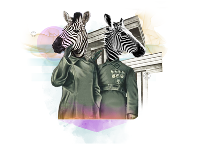 Zebras collage illustration ilustración