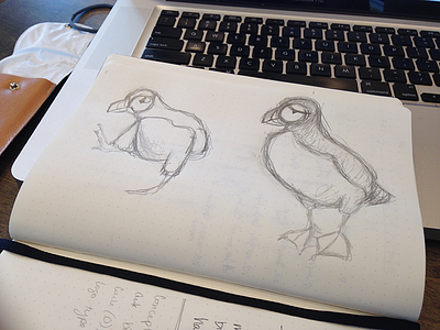 Puffin sketches auk bird branding character drawing mascot pencil personality puffin sketching