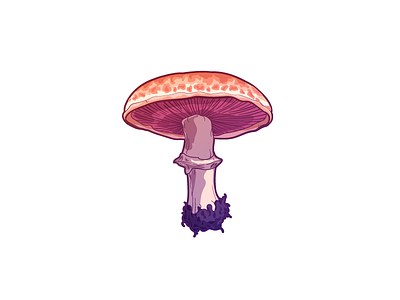 Great mushroom icon illustration mushroom vector
