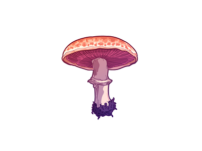 Great mushroom